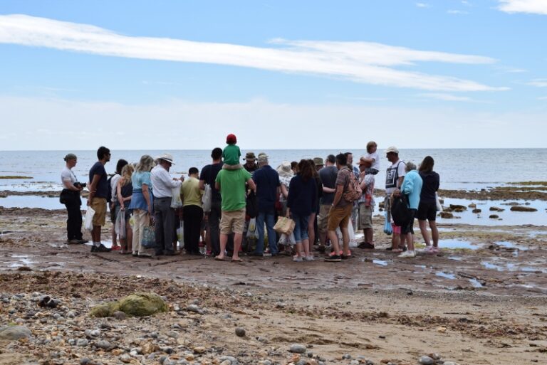 Isle of Wight holiday cottages